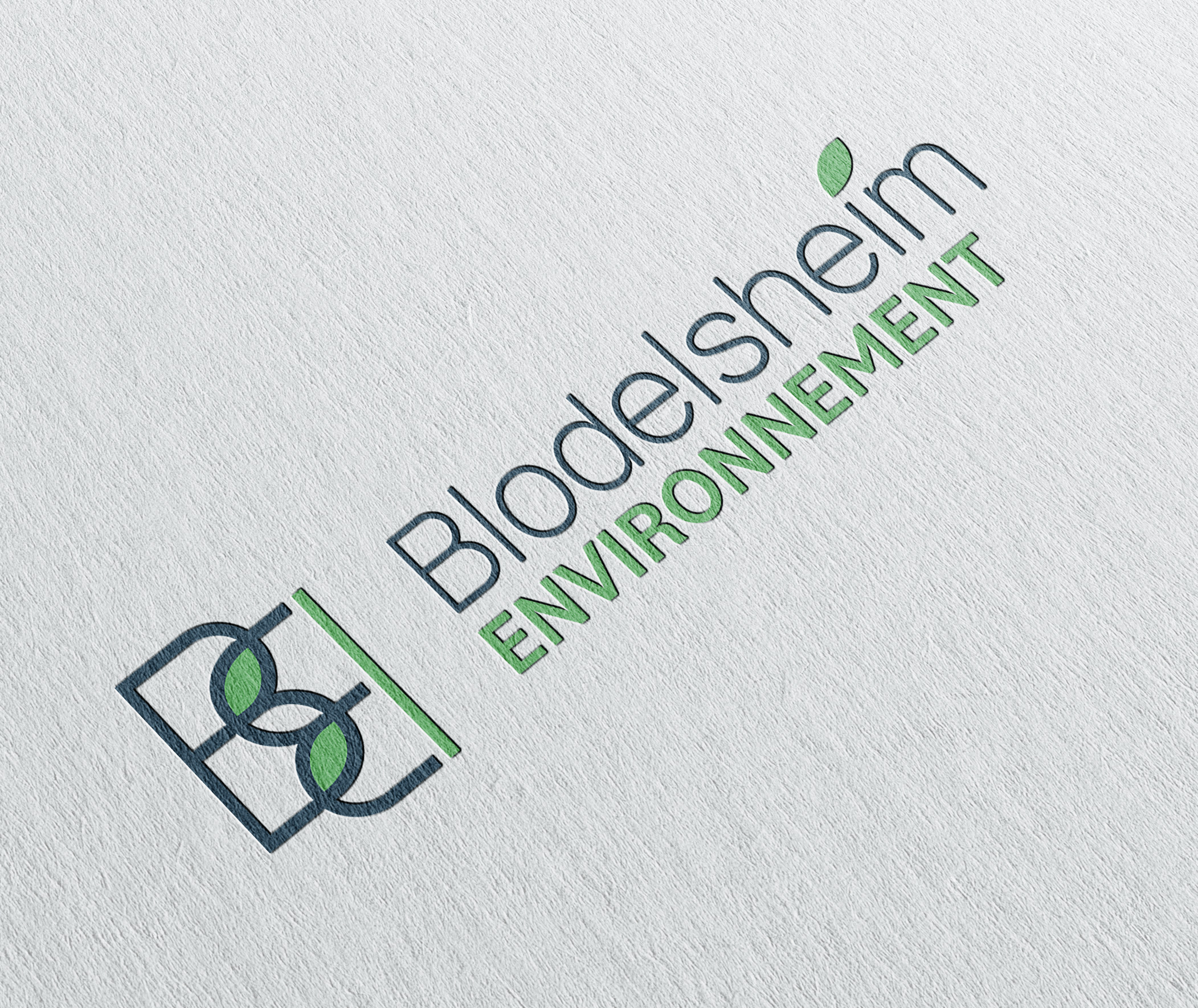 Logo Blodelsheim Environnement